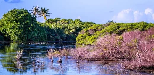 Addu Atholhu